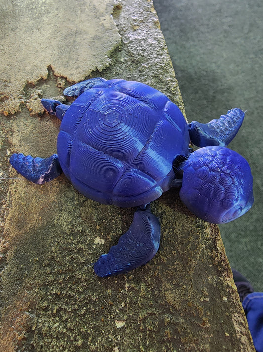 SEA Turtle