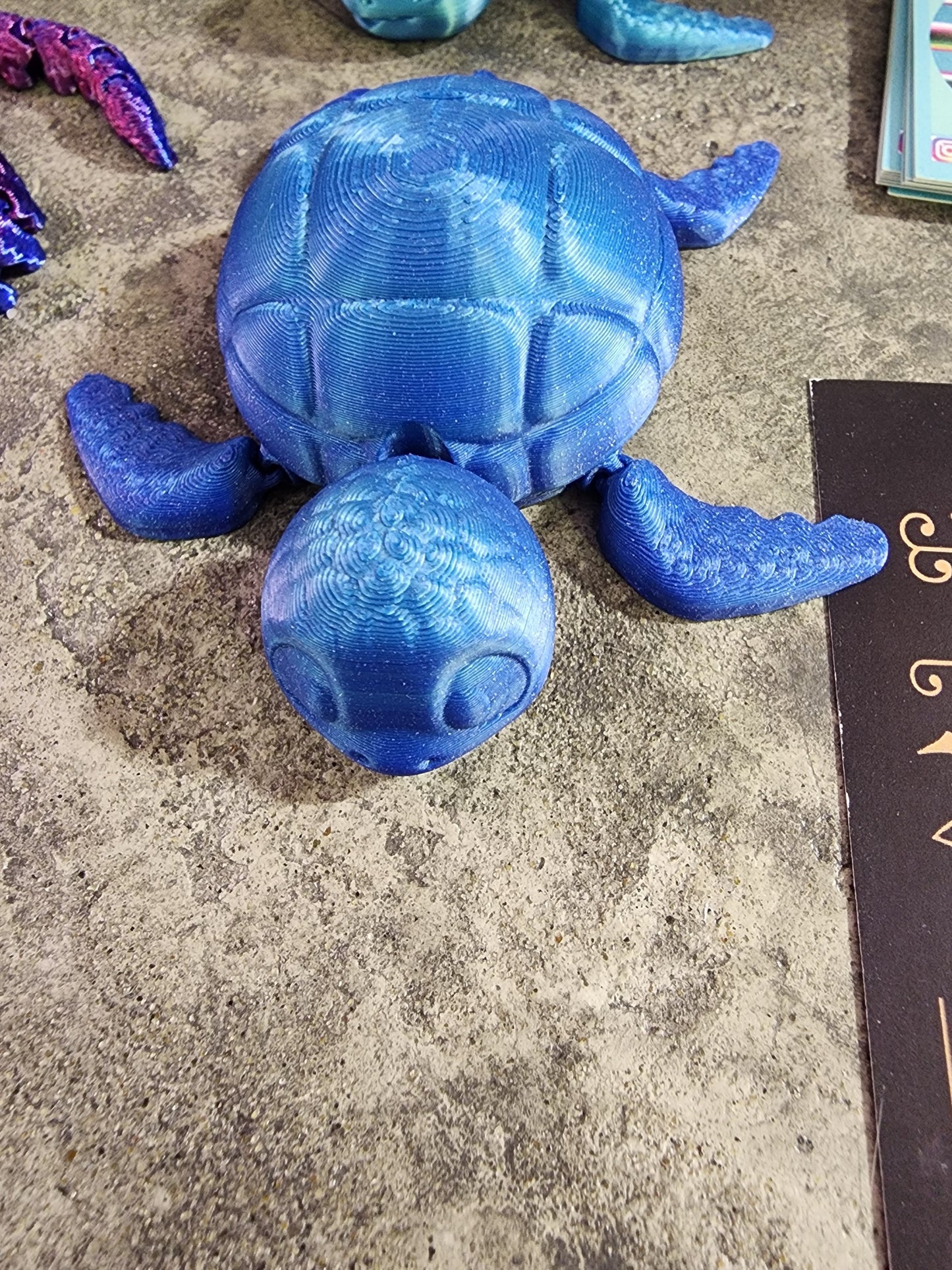 SEA Turtle